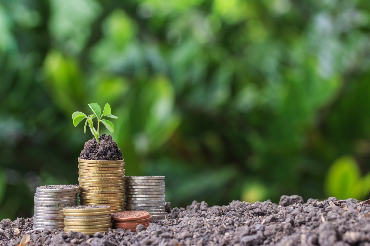 NOVA ARQUITETURA FINANCEIRA: O PAPEL ESTRATÉGICO DAS INSTITUIÇÕES FINANCEIRAS DE DESENVOLVIMENTO NA TRANSIÇÃO VERDE SUSTENTÁVEL
