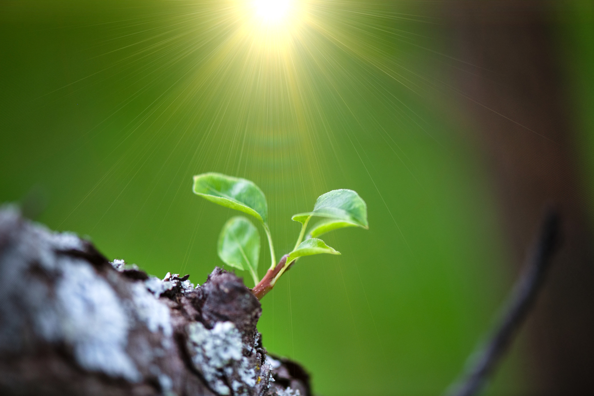 Ecoesperança